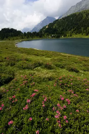Obersee Staller Sattel © TVB Osttirol / Blaha Blick auf den Obersee am Staller Sattel © TVB Osttirol / Blaha