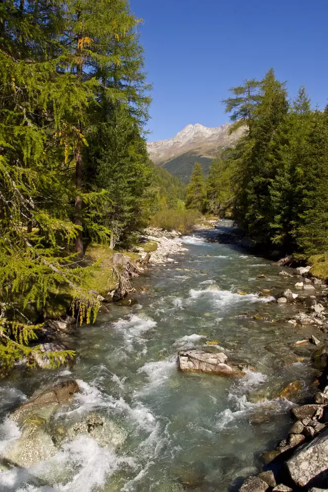Naturimpressionen Defereggental © TVB Osttirol / Blaha Sommer im Defereggental © TVB Osttirol / Blaha